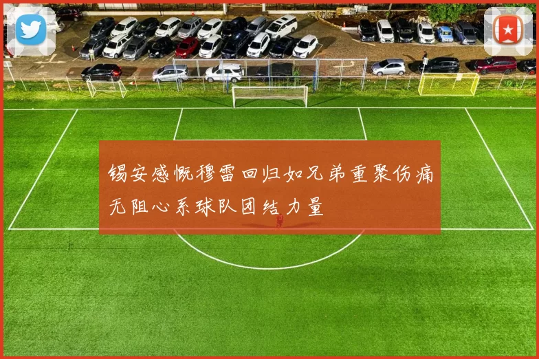 锡安感慨穆雷回归如兄弟重聚伤痛无阻心系球队团结力量