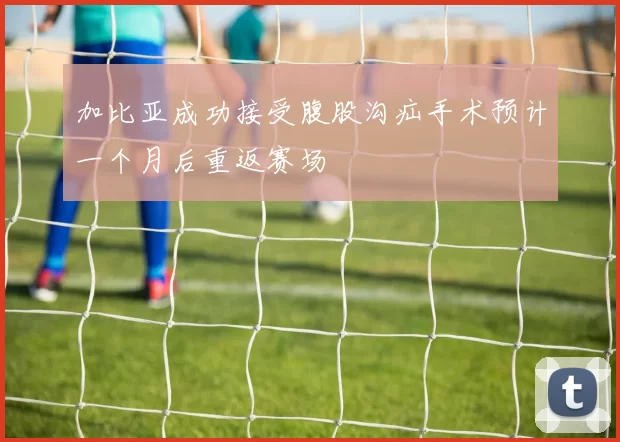 加比亚成功接受腹股沟疝手术预计一个月后重返赛场