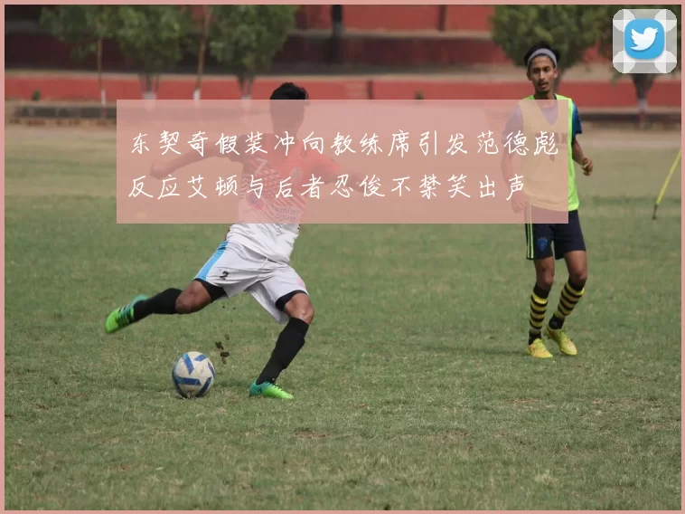 东契奇假装冲向教练席引发范德彪反应艾顿与后者忍俊不禁笑出声